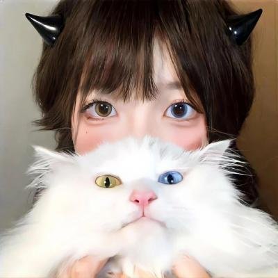 飞行者